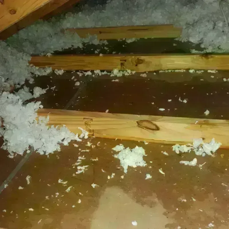 Attic Water Damage in Trenton, MI