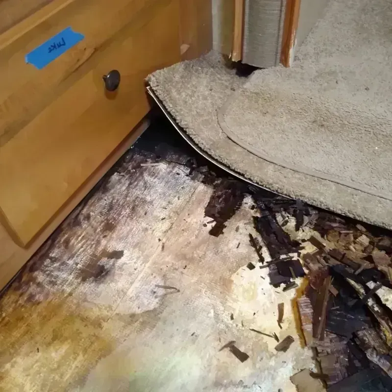 Wood Floor Water Damage in Trenton, MI